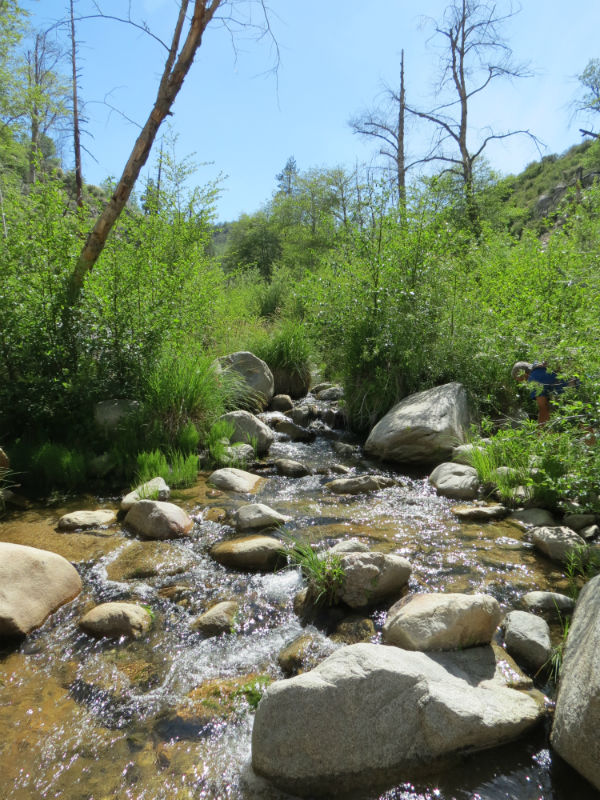 Silver Creek